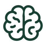 Brain Growth