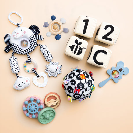 Early Vision newborn high contrast toy bundle