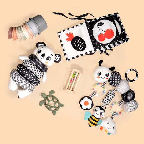 Black and white high contrast newborn toy bundle for visual development
