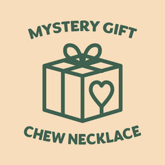 Mystery Chew Necklace